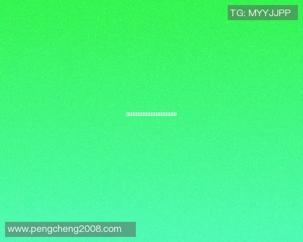 布尔格与索肖的对决分析及双方近期状态评估